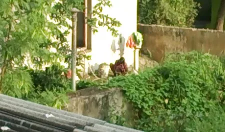 বড় সুন্দরী মহিলা, ভাই বোন চুদা চুদির গল্প এক মহিলা বহু পুরুষ,