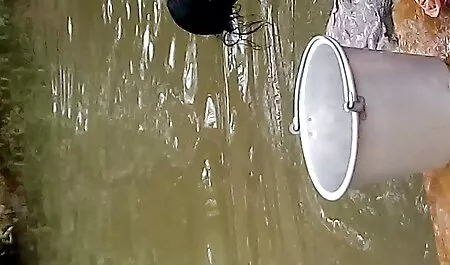 মেয়ে সমকামী, মেয়ে সমকামী গে চুদার গল্প