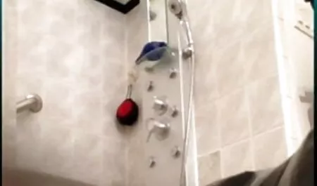 অপেশাদার, দুর্দশা, প্রসাব করা, মামি চুদার চটি