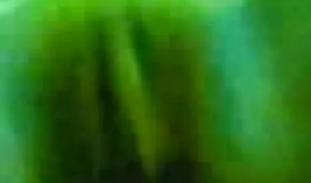 নকল বাঁড়ার, চটি চুদা চুদি বালিকা, মেয়ে সমকামী