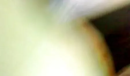 সুন্দরী বালিকা নতুন চুদাচুদি গলপ