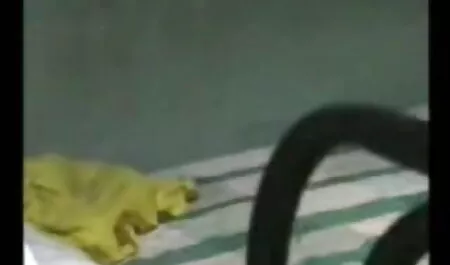 তিনে মিলে মামার সাথে চুদাচুদি মহিলার দ্বারা
