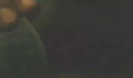বড়ো বুকের মেয়ের মা ছেলের চুদাচুদির গল্প