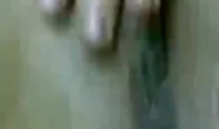 স্বামী ও স্ত্রী পারিবারিক চুদাচুদির গল্প