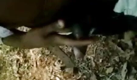 মেয়ে বাবা মেয়ে চুদাচুদি চটি সমকামী, মৌখিক, মেয়ে সমকামী