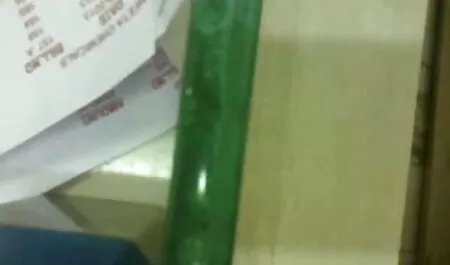 স্বামী বোনের সাথে চোদাচুদি ও স্ত্রী, পর্নোতারকা,