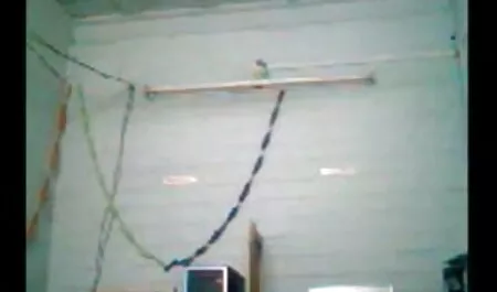 বাঁড়ার মা ছেলেচুদাচুদি গল্প রস খাবার