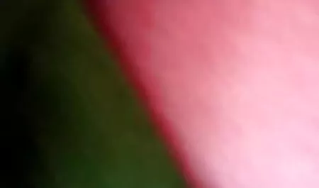 ওয়েবক্যাম, স্বামী ও ছুদাছুদি গল্প স্ত্রী,