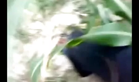 বড়ো মাই, সুন্দরি চুদা চুদি গল্প সেক্সি মহিলার