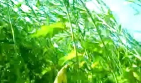 স্বামী ও কাজের বুয়ার সাথে চুদাচুদি স্ত্রী,