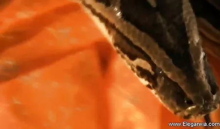 পাণিমৈথুন একাকী মেয়ে বাংলা চুদাচুদি গল্প হিজড়া বাঁড়ার মাই এর
