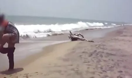 অপেশাদার, স্বামী ও স্ত্রী, মামিকে চুদার গল্প দুর্দশা,